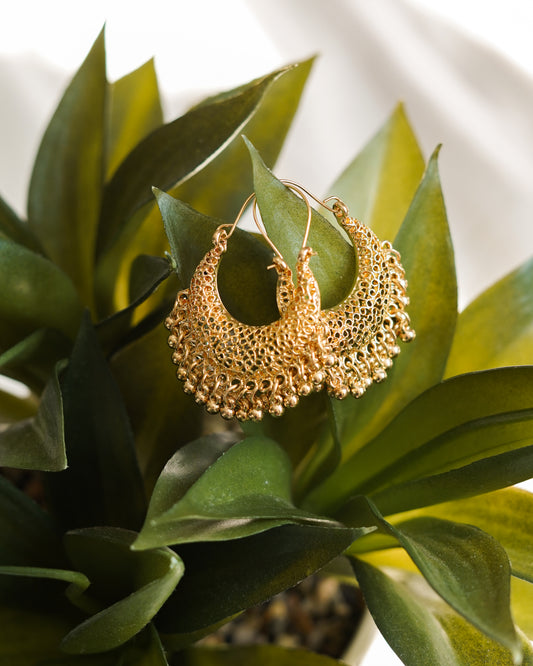 Gold Filigree Jhumka Hoop Earrings