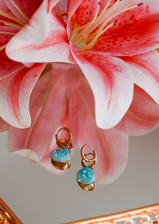 Le Morne Pearl Shells