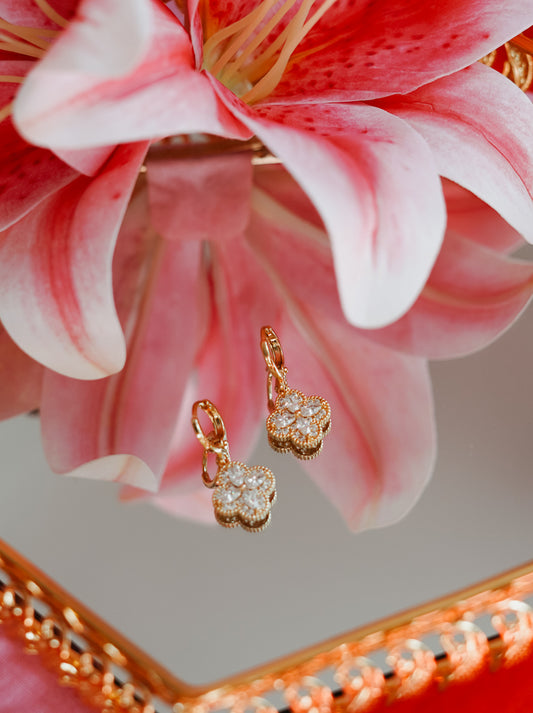 Golden Island Clover